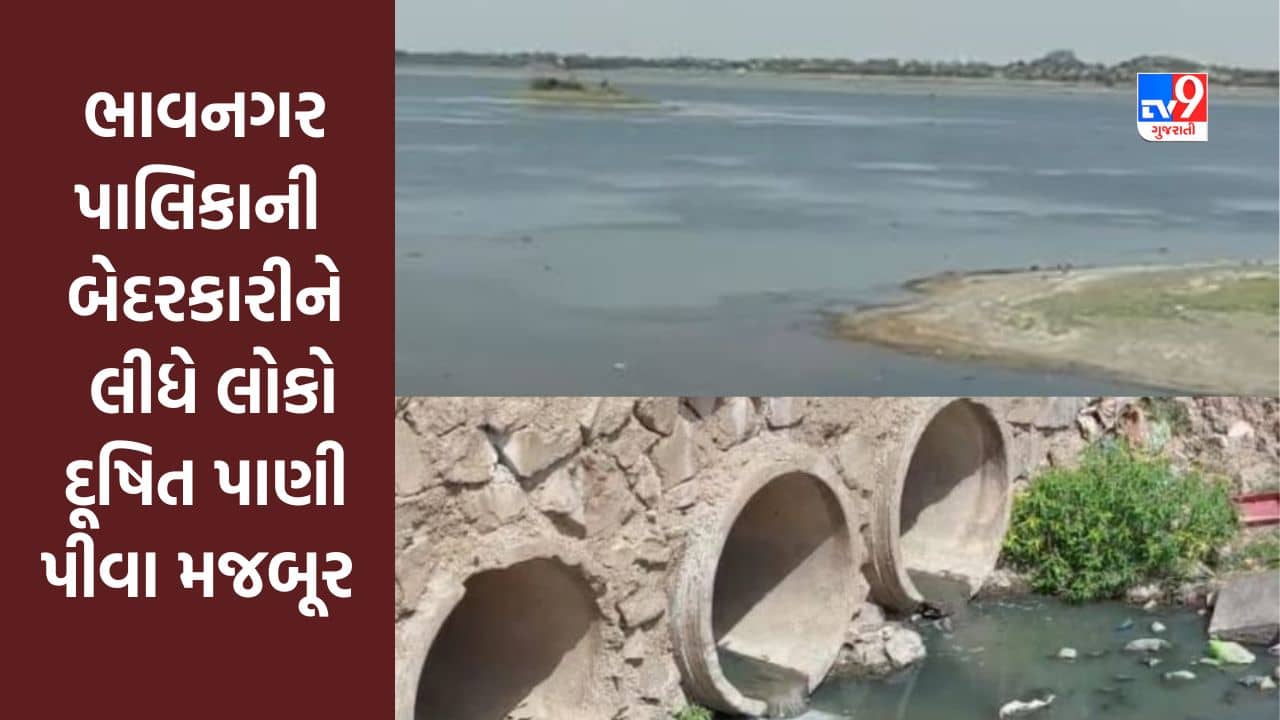 Gujarati Video : ભાવનગર મહાનગર પાલિકાની બેદરકારીને કારણે લોકો દૂષિત પાણી પીવા માટે મજબૂર બન્યા