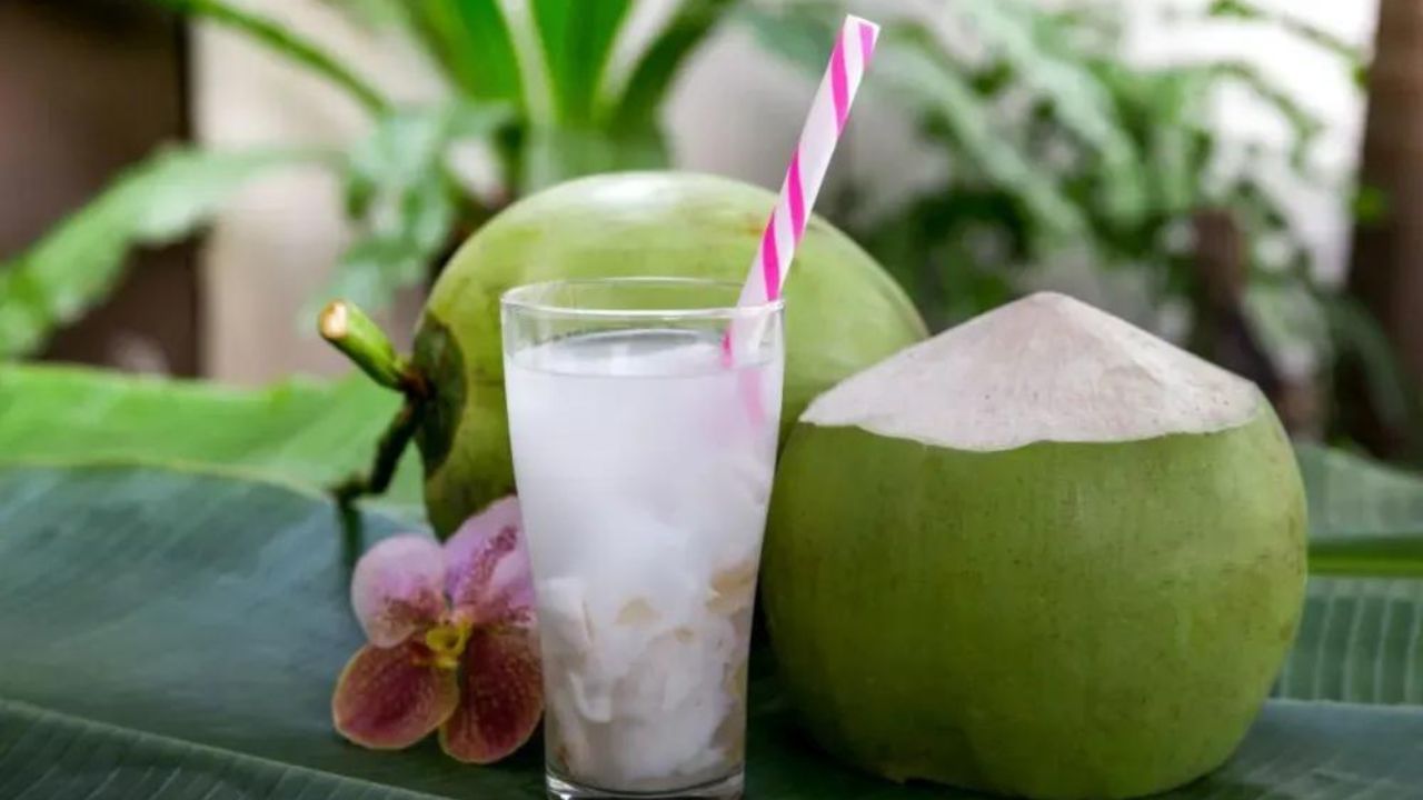 Coconut Shikanji (1)