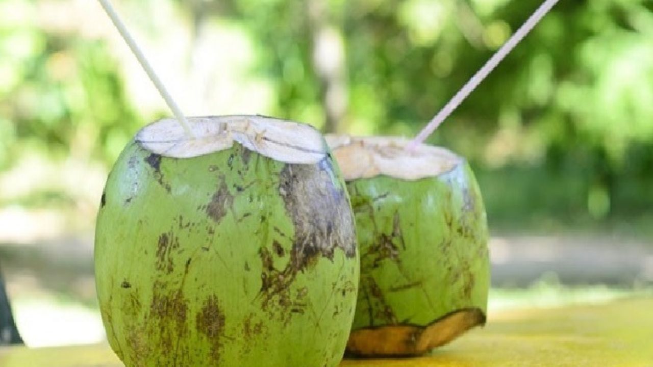 Coconut Shikanji (6)