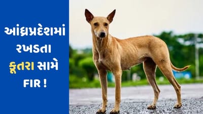આંધ્રપ્રદેશમાં કૂતરા સામે પોલીસે નોંધ્યો કેસ, કારણ જાણીને તમે પણ ચોંકી ઉઠશો, જાણો સમગ્ર મામલો