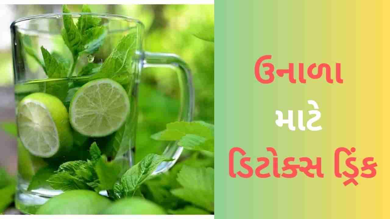 Ayurvedic Detox Drinks: ઉનાળામાં પીઓ આ 3 આયુર્વેદિક ડિટોક્સ પીણાં, ચોક્કસ મળશે ફાયદો