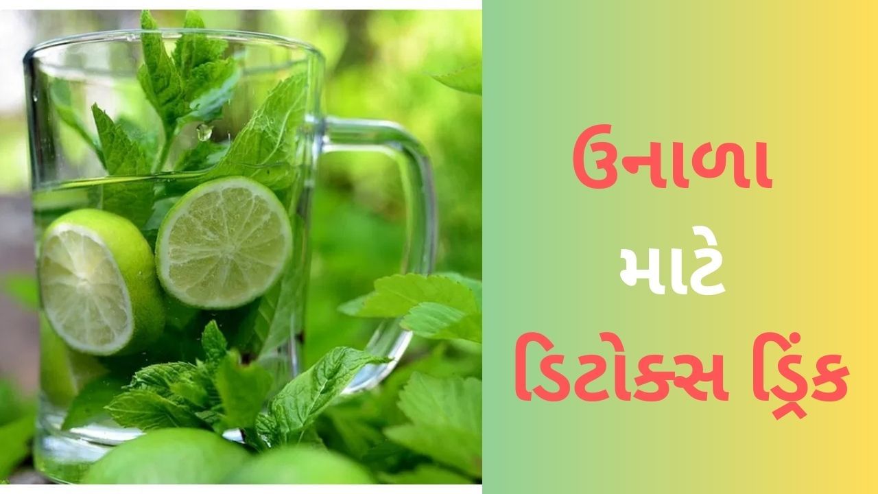 Ayurvedic Detox Drinks: ઉનાળામાં પીઓ આ 3 આયુર્વેદિક ડિટોક્સ પીણાં, ચોક્કસ મળશે ફાયદો