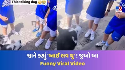 માણસોની જેમ વાત કરતા શ્વાને કહ્યું 'આઈ લવ યુ'! જુઓ આ અદ્ભૂત Viral Video