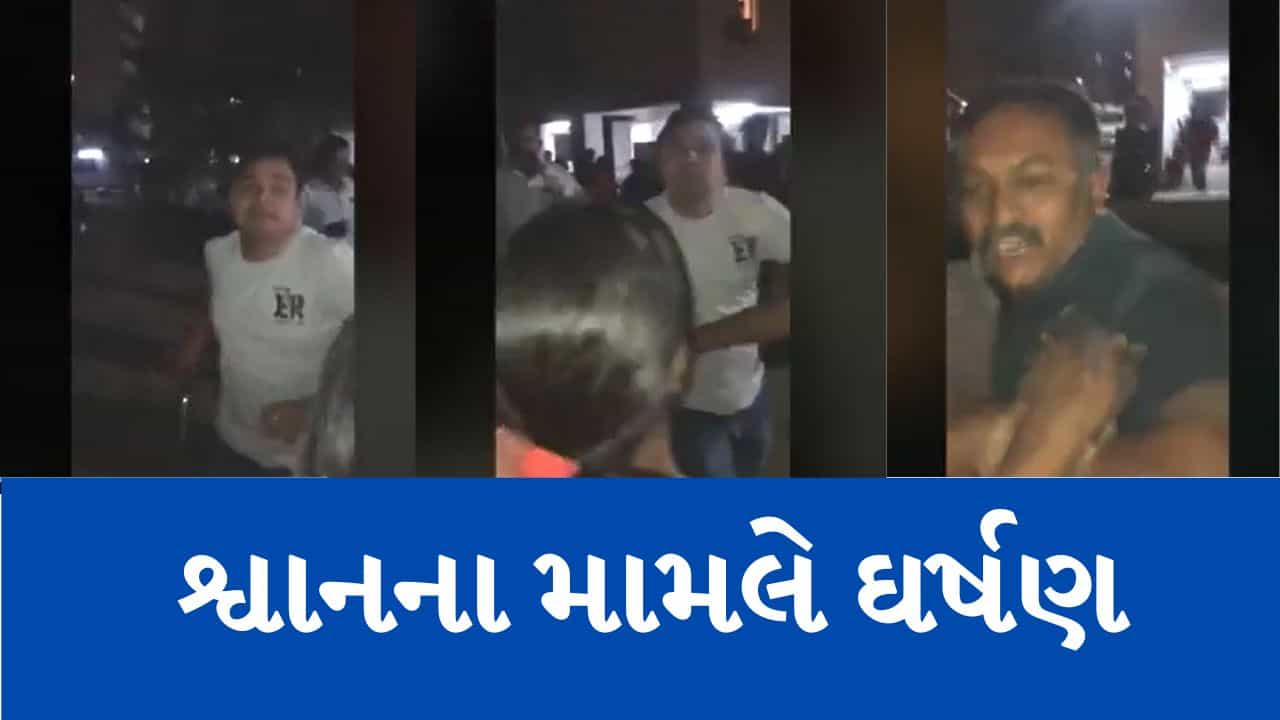 Gujarati Video : શ્વાનને બિસ્કિટ ખવડાવી રહેલી મહિલા અને તેના પુત્રને લોકોએ ધક્કે ચઢાવ્યા, શ્વાનને પણ દંડાથી ફટકાર્યો