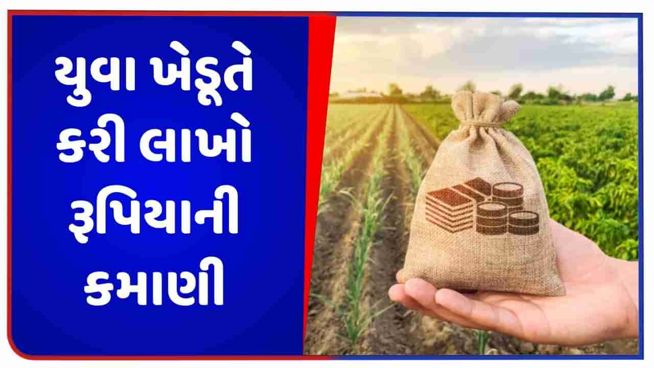 Success Story: યુવા ખેડૂતે કરી કમાલ, આ પાકની ખેતીથી 2 મહિનામાં કરી 18 લાખ રૂપિયાની કમાણી