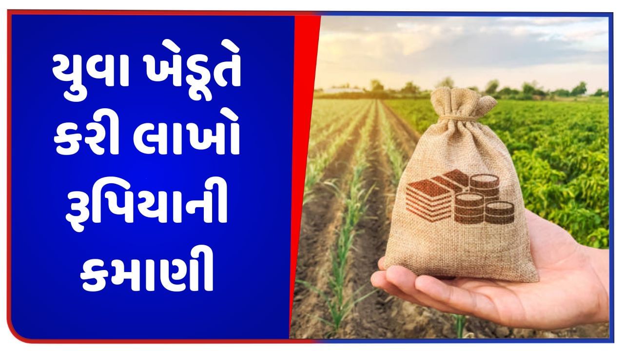 Success Story: યુવા ખેડૂતે કરી કમાલ, આ પાકની ખેતીથી 2 મહિનામાં કરી 18 લાખ રૂપિયાની કમાણી