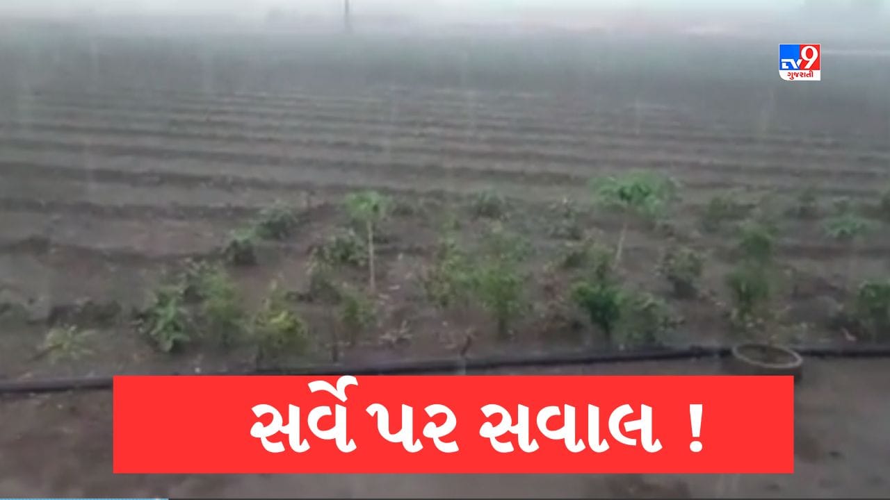 Gujarati Video : ભાવનગરમાં ખેડૂતોએ વરસાદી નુકસાનના સર્વેની કામગીરી પર ઉઠાવ્યા સવાલ, યોગ્ય રીતે સર્વે ન થયો હોવાનો આક્ષેપ Gujarati Video : ભાવનગરમાં ખેડૂતોએ વરસાદી નુકસાનના સર્વેની કામગીરી પર ઉઠાવ્યા સવાલ, યોગ્ય રીતે સર્વે ન થયો હોવાનો આક્ષેપ