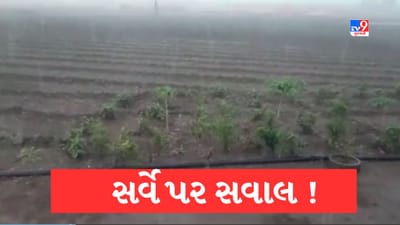 Gujarati Video : ભાવનગરમાં ખેડૂતોએ વરસાદી નુકસાનના સર્વેની કામગીરી પર ઉઠાવ્યા સવાલ, યોગ્ય રીતે સર્વે ન થયો હોવાનો આક્ષેપ