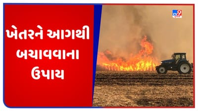 ખેડૂતો માટે કામની વાત, ખેતરોને આગથી બચાવવા આ ઉપાય કરો, નહીં થાય પાકનો બગાડ