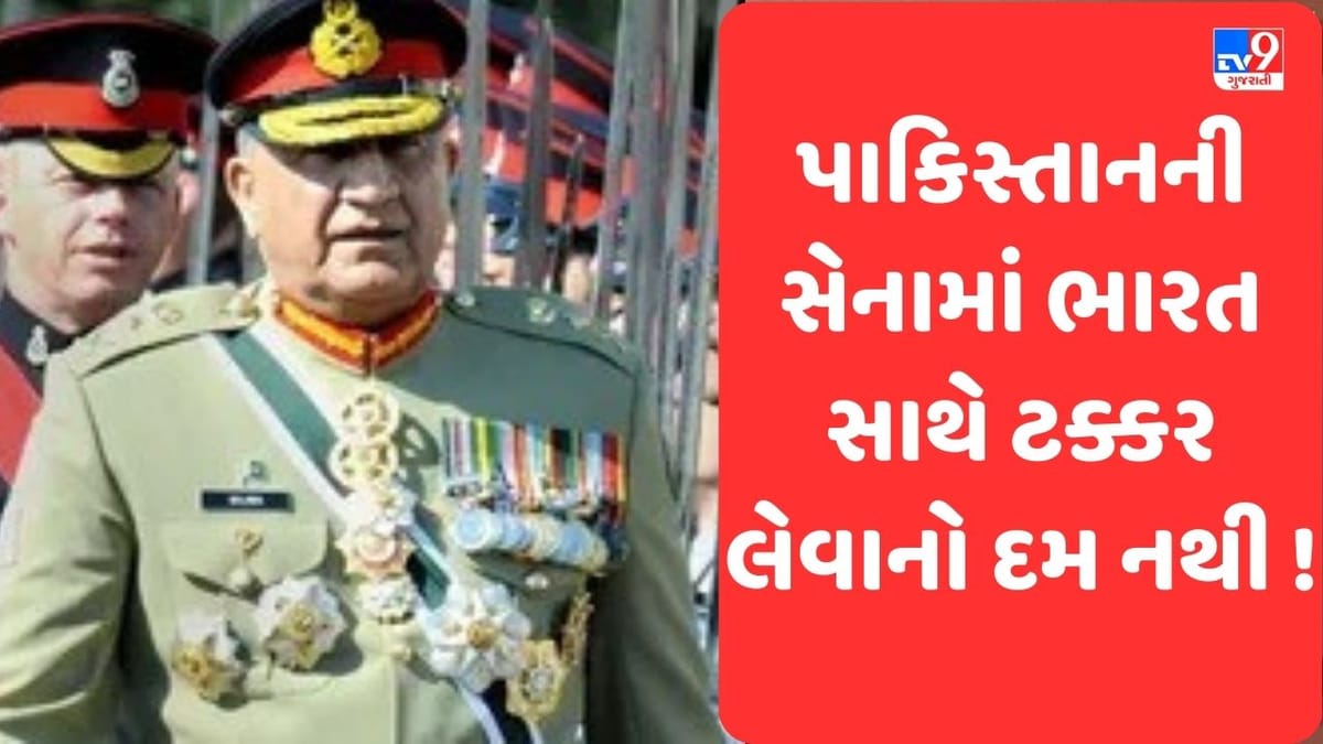 Pakistan News: પાકિસ્તાની પત્રકારે કાઢી તેમની જ સેનાની ઈજ્જત, કહ્યું કે 'પાકિસ્તાની સેના ભારત સાથે યુદ્ધ કરવા સક્ષમ નથી, ખુલાસાથી ખળભળાટ Pakistan News: પાકિસ્તાની પત્રકારે કાઢી તેમની જ સેનાની ઈજ્જત, કહ્યું કે 'પાકિસ્તાની સેના ભારત સાથે યુદ્ધ કરવા સક્ષમ નથી, ખુલાસાથી ખળભળાટ