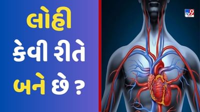 લોહી કેવી રીતે બને છે અને લોહીનું કાર્ય શું છે? 3D Animation Video દ્વારા સમજો