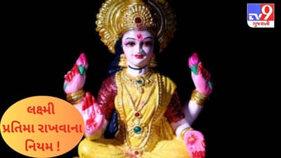 તમારા ઘરમાં તો નથીને દેવી લક્ષ્મીની આવી પ્રતિમા ? જરાં સંભાળીને, ફાયદાને બદલે થઈ જશે નુકસાન !