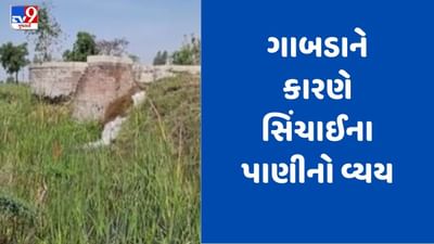 Gujarati video: છોટાઉદેપુરમાં માઇનોર કેનાલમાં ગાબડુ, રજૂઆત છતાં કામગીરી ન થતી હોવાનો આક્ષેપ Gujarati video: છોટાઉદેપુરમાં માઇનોર કેનાલમાં ગાબડુ, રજૂઆત છતાં કામગીરી ન થતી હોવાનો આક્ષેપ