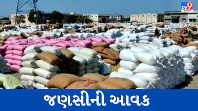 Gujarati Video : રાજકોટનું ગોંડલ માર્કેટયાર્ડ નવી જણસથી ઉભરાયું, ધાણાની 1 લાખ ગુણીની આવક થઈ