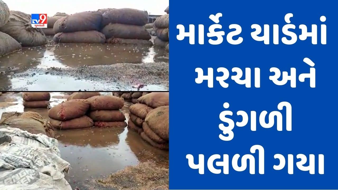 Gujarati Video : રાજકોટના ગોંડલમાં વરસાદે સર્જી તારાજી, માર્કેટ યાર્ડમાં ખુલ્લામાં પડેલા મરચા અને ડુંગળી પલળ્યા