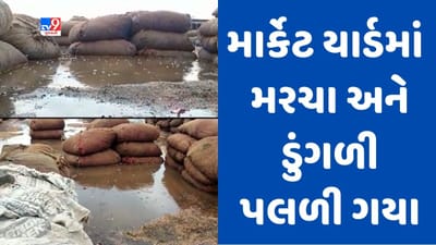 Gujarati Video : રાજકોટના ગોંડલમાં વરસાદે સર્જી તારાજી, માર્કેટ યાર્ડમાં ખુલ્લામાં પડેલા મરચા અને ડુંગળી પલળ્યા Gujarati Video : રાજકોટના ગોંડલમાં વરસાદે સર્જી તારાજી, માર્કેટ યાર્ડમાં ખુલ્લામાં પડેલા મરચા અને ડુંગળી પલળ્યા