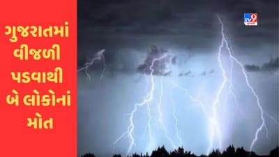 Breaking News : ગુજરાતમાં ભરઉનાળે વાતાવરણ પલટાયું , બે સ્થળોએ વીજળી પડવાથી બે લોકોનાં મોત
