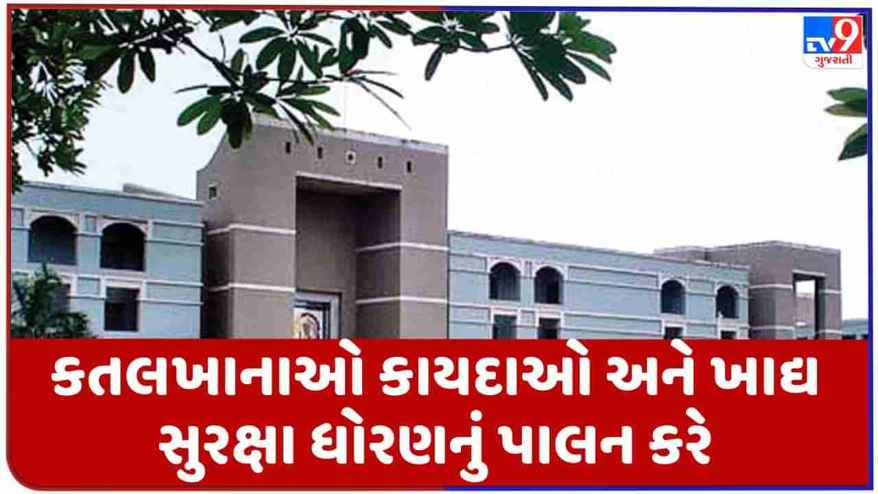 Breaking News : ગુજરાત હાઇકોર્ટનો મહત્વનો ચુકાદો, ગેરકાયદેસર કતલખાનાઓ અને દુકાનદારોને હાઇકોર્ટથી રાહત નહીં