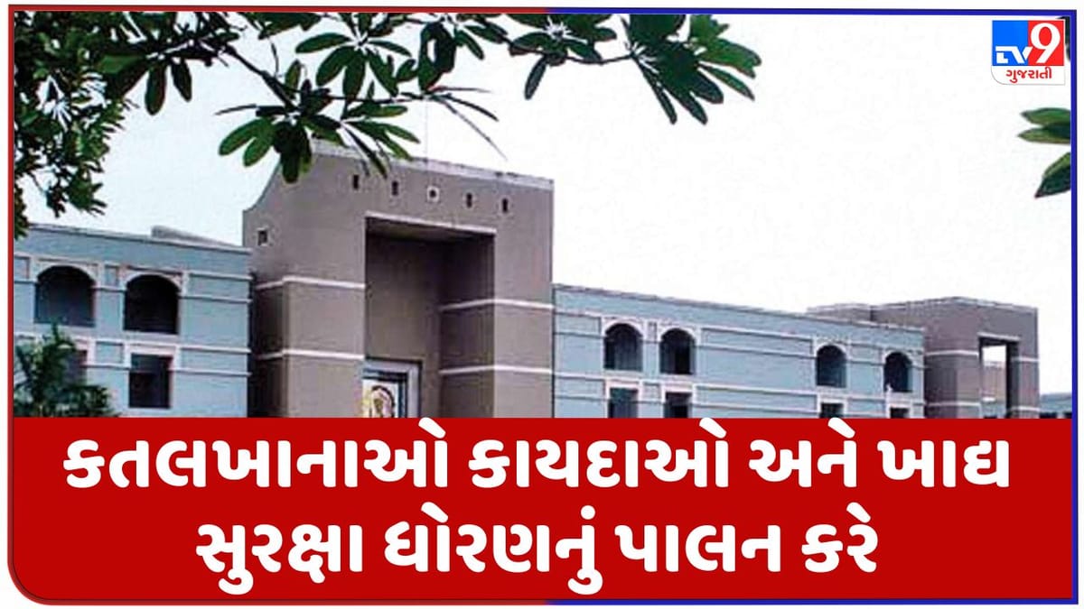 Breaking News : ગુજરાત હાઇકોર્ટનો મહત્વનો ચુકાદો, ગેરકાયદેસર કતલખાનાઓ અને દુકાનદારોને હાઇકોર્ટથી રાહત નહીં Breaking News : ગુજરાત હાઇકોર્ટનો મહત્વનો ચુકાદો, ગેરકાયદેસર કતલખાનાઓ અને દુકાનદારોને હાઇકોર્ટથી રાહત નહીં