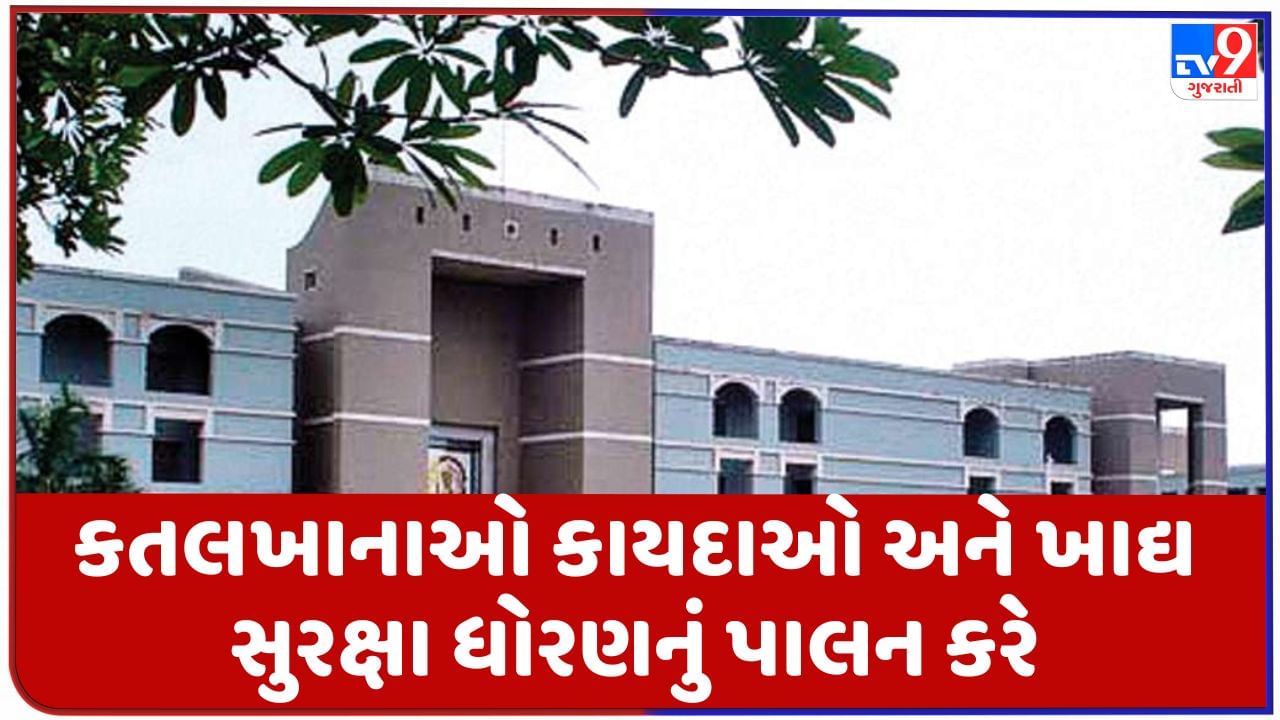 Breaking News : ગુજરાત હાઇકોર્ટનો મહત્વનો ચુકાદો, ગેરકાયદેસર કતલખાનાઓ અને દુકાનદારોને હાઇકોર્ટથી રાહત નહીં