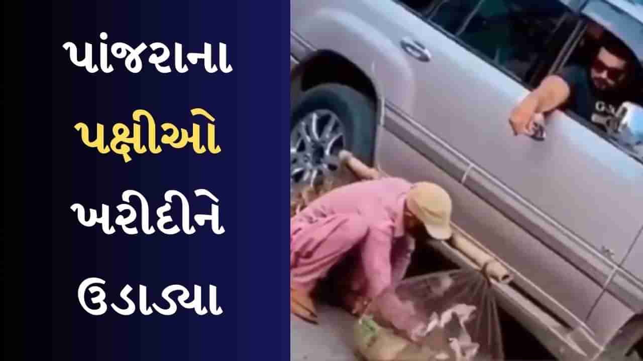 Heart Touching Viral Video : આને કહેવાય માનવતા ! માણસે પહેલા પાંજરામાં બંધ પક્ષીઓ ખરીદ્યા, પછી તેમને ઉડાવી દીધા