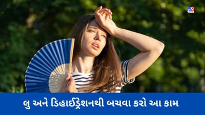 Summer Tips: લુ અને ડિહાઈડ્રેશનથી બચાવી શકે છે આ નાની-નાની આદત, આજથી જ કરો અમલ
