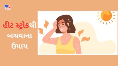 Heat Stroke: ઉનાળામાં હીટ સ્ટ્રોકનું જોખમ સૌથી વધુ, જાણો કેવી રીતે બચવું