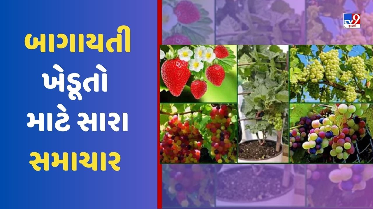 Horticulture: ફળ અને શાકભાજીના ઉત્પાદનમાં ભારત બીજા સ્થાને પહોંચ્યું, ખેડૂતો બાગાયત ક્ષેત્રમાંથી કરી રહ્યા છે સારી કમાણી