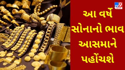 Investment in Gold : આ વર્ષે સોનાનો ભાવ આસમાને પહોંચશે, દુનિયાની સેન્ટ્રલ બેંકોએ ખરીદવા પડાપડી કરી