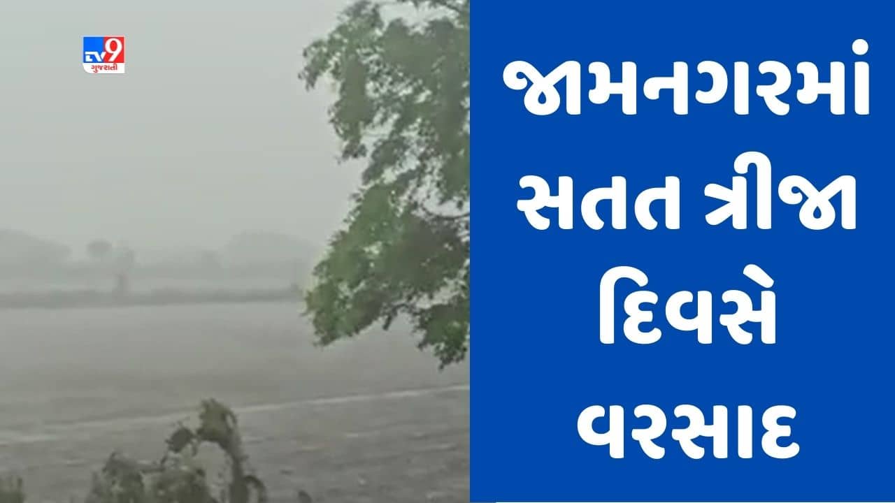 Gujarati Video: હવામાન વિભાગની આગાહી વચ્ચે જામનગરમાં વરસાદ, લાલપુર પંથકમાં ધોધમાર વરસાદથી પાણી ભરાયા