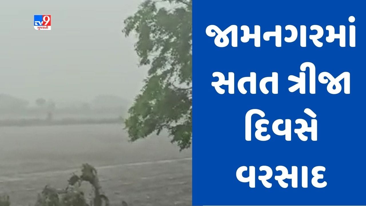 Gujarati Video: હવામાન વિભાગની આગાહી વચ્ચે જામનગરમાં વરસાદ, લાલપુર પંથકમાં ધોધમાર વરસાદથી પાણી ભરાયા Gujarati Video: હવામાન વિભાગની આગાહી વચ્ચે જામનગરમાં વરસાદ, લાલપુર પંથકમાં ધોધમાર વરસાદથી પાણી ભરાયા