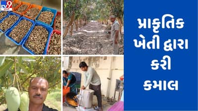 Kutch: ખેડૂતોએ ઝીરો બજેટમાં શાકભાજી તેમજ બિજોરાનું ઉત્પાદનનું કરીને મબલખ નફો રળ્યો, જાણો કેવી રીતે થયા સફળ?