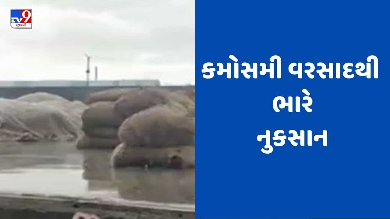 Gujarati video: રાજકોટના ગ્રામ્ય વિસ્તારોમાં કમોસમી વરસાદ, ધોરાજી યાર્ડની બેદરકારીથી જણસી પલળી, ઉપલેટામાં પાણી ભરાયા