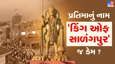 TV9 Exclusive : ‘કિંગ ઓફ સાળંગપુર’ નામ અને પ્રતિમા બનાવવાનો વિચાર કઈ રીતે ઉદ્ભવ્યો, શાસ્ત્રી હરિ પ્રકાશદાસજી સ્વામીજીના મોઢે સાંભળો હકિકત