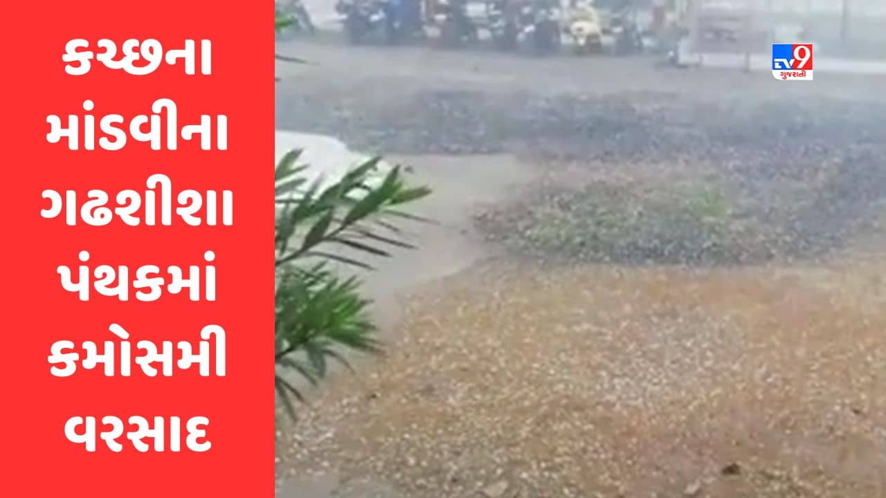 Gujarati Video: કચ્છના માંડવીના ગઢશીશા પંથકમાં કમોસમી વરસાદ વરસ્યો