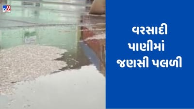 Gujarati Video:  બનાસકાંઠા અને કડીમાં માવઠાને પગલે ખરીફ પાકને નુકસાન, યાર્ડમાં રાખેલા એરંડા વરસાદના પાણીમાં તરતા જોવા મળ્યા!