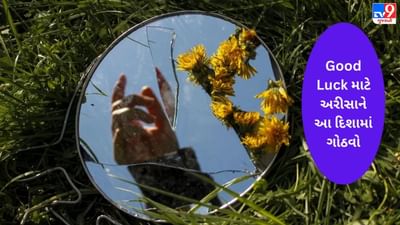 Good Luck મેળવવા માગતા લોકો એ અરીસાને ખોટી દિશામાં ગોઠવવાની ભૂલ ન કરવી જોઈએ, વાંચો શું કહે છે વાસ્તુનો સાચો નિયમ