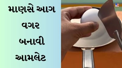Viral Video : ચૂલા વગર બની Omelette, ઉનાળાની કાળઝાળ ગરમીનો આવો વીડિયો તમે નહિ જોયો હોય