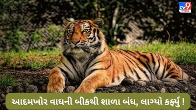 Pauri Garhwal Curfew: માનવભક્ષી વાઘે 4 દિવસમાં 2 ને શિકાર બનાવ્યા, ભયના માહોલ વચ્ચે શાળા બંધ, કરફ્યુ લાદવામાં આવ્યો