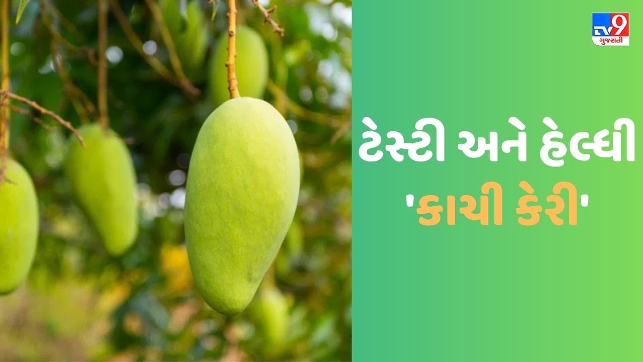 ઉનાળામાં શા માટે ખાવી જોઇએ કાચી કેરી ? જાણો તેના ફાયદા Gujarati News