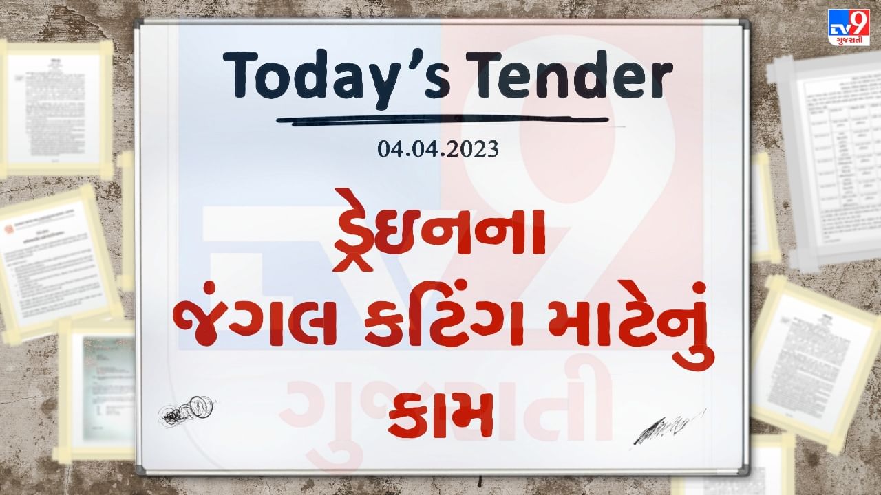 Tender Today : મહેસાણા જિલ્લાના બે તાલુકાના બે કામ માટે ટેન્ડર જાહેર, ડ્રેઇનના જંગલ કટિંગ માટે કરવાનું રહેશે કામ