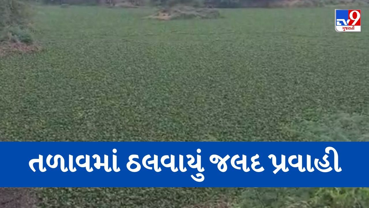 Gujarati video : ટેન્કર ચાલકે જલદ પ્રવાહી એસિડ તળાવમાં ઠાલવ્યું, પાણી દુષિત થતા પશુ પક્ષી માટે સર્જાયું જોખમ, જુઓ Video