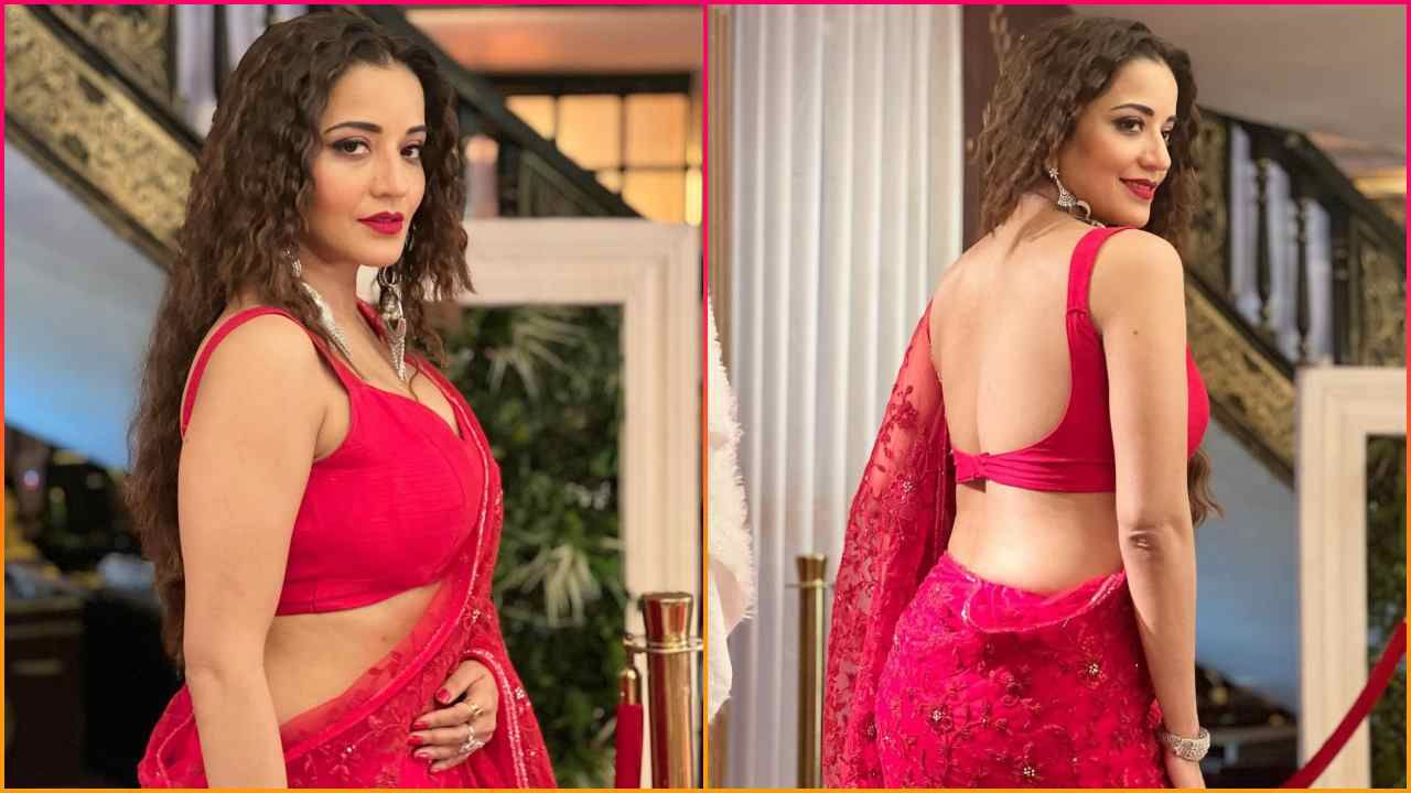 અભિનેત્રીની ઈન્સ્ટાગ્રામ પર પણ સારી એવી ફેન ફોલોઈંગ છે. ઈન્સ્ટા પર મોનાલિસાના 5.3 મિલિયન ફોલોઅર્સ છે. મોનાલિસાનું સાચું નામ અંતરા બિસ્વાસ છે. ફિલ્મી દુનિયામાં પગ મૂક્યા પછી અંતરા મોનાલિસા બની ગઈ હતી.