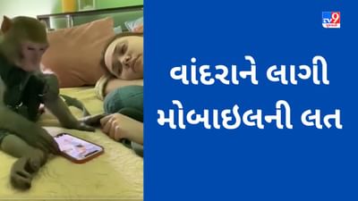 Anand Mahindra: વાંદરાને લાગી મોબાઇલની લત, Anand Mahindra એ કહ્યુ આને કોઇ બચાવો...