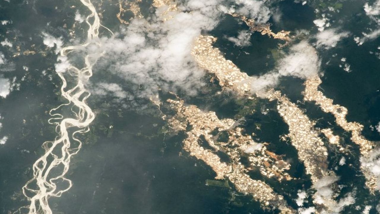 ગોલ્ડન ફોરેસ્ટની આ તસવીર પેરુના માદ્રે-ડી-ડીઓસ પ્રાંતની છે. તે એમેઝોનના વરસાદી જંગલોમાં સ્થિત એક રાજ્ય છે. આ આખો વિસ્તાર પાણીથી ભરેલી ખીણો, તળાવો, નદીઓ અને સ્ત્રોતોથી ભરેલો છે. અહીં તસવીરમાં ડાબી બાજુ ઈનાંબરી નદી દેખાય છે. આ ઉપરાંત જંગલની વચ્ચે દેખાતા સોનાના રંગના ખાડાઓ ગેરકાયદેસર ખનન વિશે જણાવે છે. અહીં ખનનના કારણે માટી સરકી જાય છે. જંગલો કપાય છે. આ સુવર્ણ જંગલ લગભગ 15 કિલોમીટર લાંબુ છે.  (ફોટો ક્રેડિટ- નાસા)