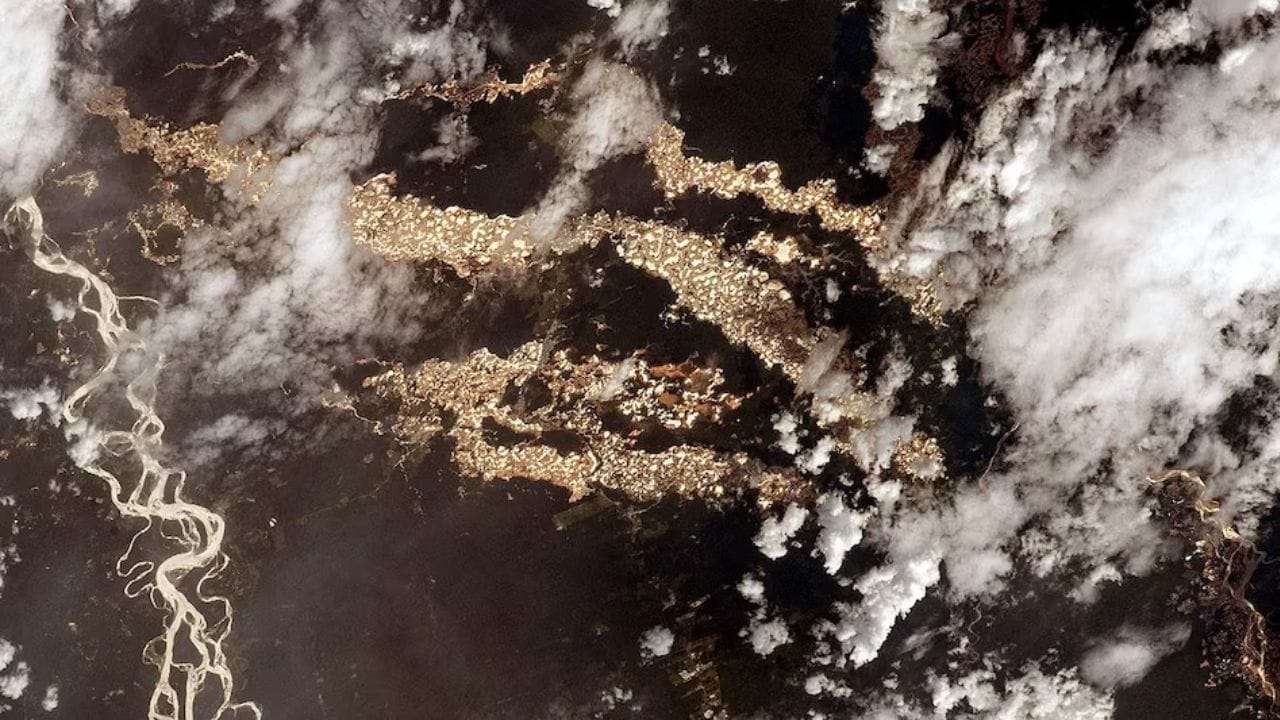 ચારે બાજુ માત્ર સોનું જ છે. આ તસવીર ઈન્ટરનેશનલ સ્પેસ સ્ટેશન (ISS) દ્વારા અવકાશમાંથી પૃથ્વીની નીચલી ભ્રમણકક્ષામાં ચક્કર લગાવીને લીધી છે. વાસ્તવમાં આ સુવર્ણ જંગલની તસવીર નથી. તે એમેઝોનના જંગલ અને ગેરકાયદે સોનાની ખોદકામની સમસ્યાઓ દર્શાવી રહ્યું છે. (ફોટો ક્રેડિટ- નાસા)