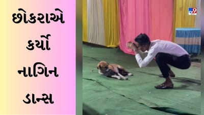 Naagin Dance Video : છોકરાએ કૂતરા સામે કર્યો Naagin ડાન્સ, જોઈને લોકો બોલ્યા - દેશી દારૂનો કમાલ