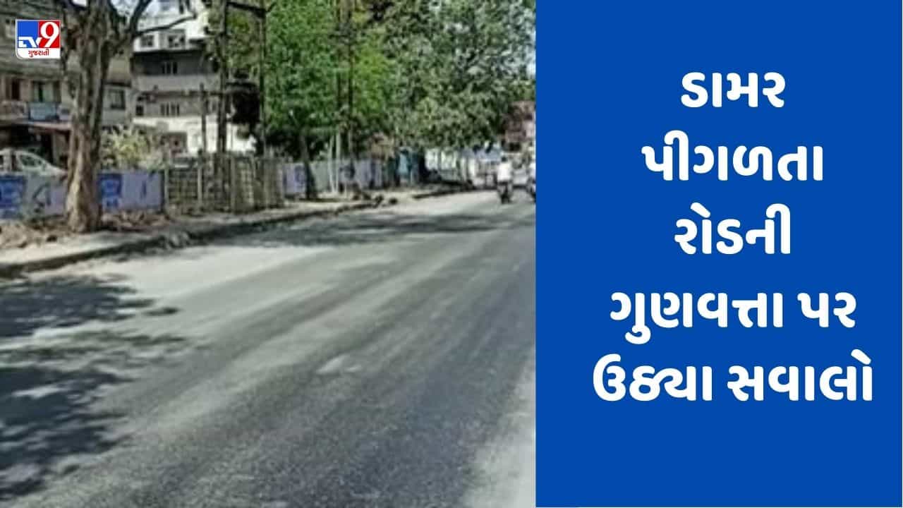 Gujarati Video: નવસારીમાં ગરમીનો પારો વધતા નવો બનેલો રોડ પીગળ્યો, જુઓ Video