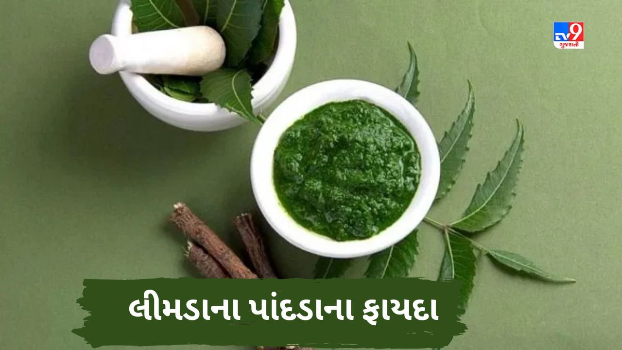 Neem benefits કડવા લીમડાના છે મીઠા ગુણ, લીમડાના પાંદડાના આરોગ્યલક્ષી