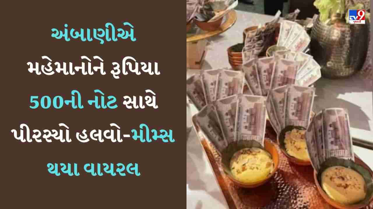 નીતા અંબાણીએ NMACCના મહેમાનોને રૂપિયા 500 ની નોટ સાથે પીરસ્યો હલવો ! Memes થયા viral